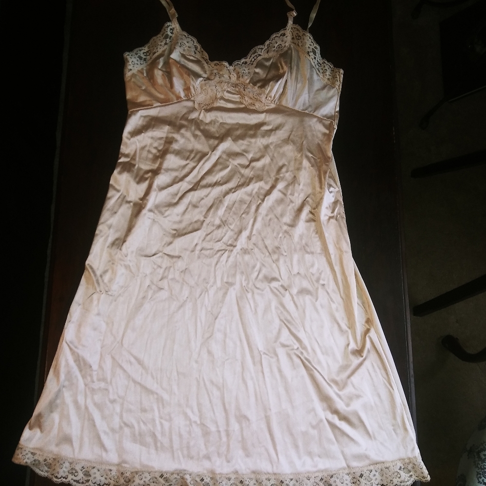 Vintage Nude Slip
